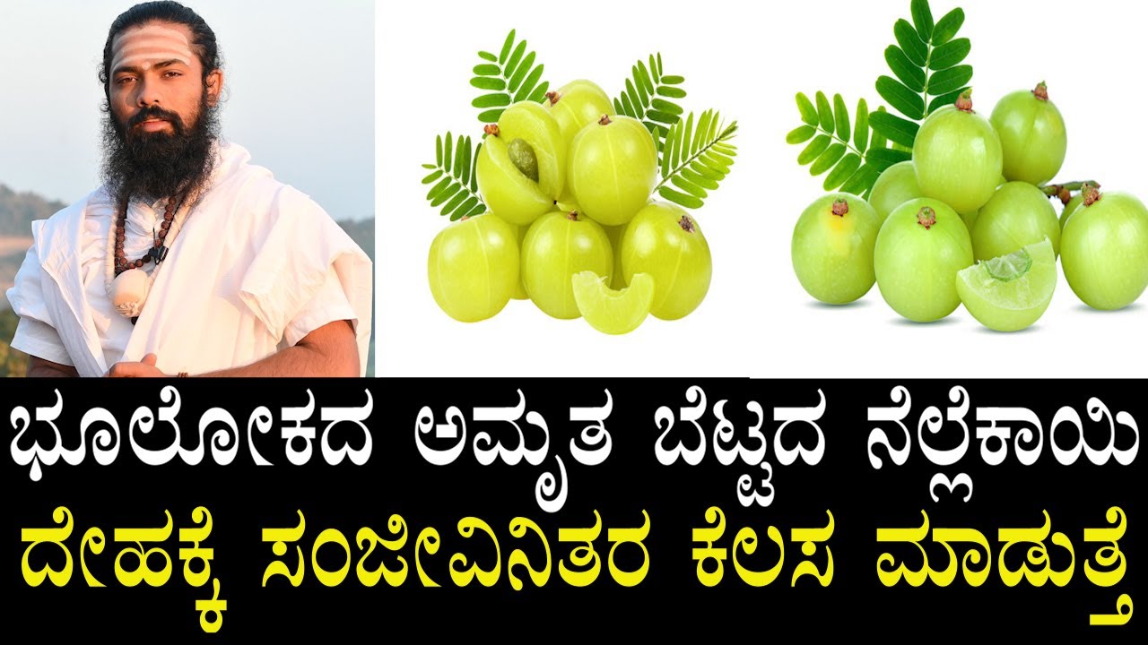 ದಿನಾ ನೆಲ್ಲಿಕಾಯಿ ಜ್ಯೂಸ್ ಕುಡಿದ್ರೆ ಏನಾಗತ್ತೆ?|Immunity Booster Amla Juice|Nellikai Juice in Kannada|Amla