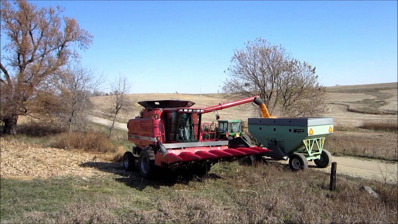 Case IH 2366 2012 Harvest