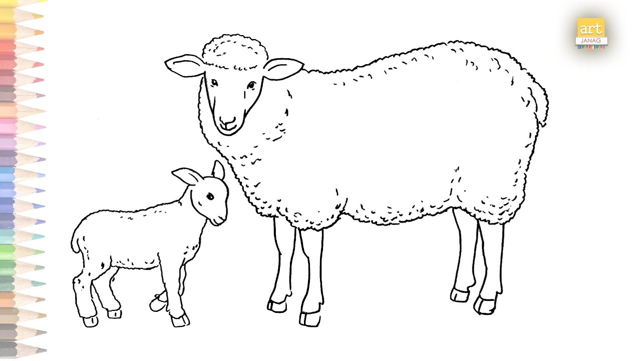 Sheep and baby sheep outline drawing | How to draw A Sheep and lamb step by step | Outline drawings
