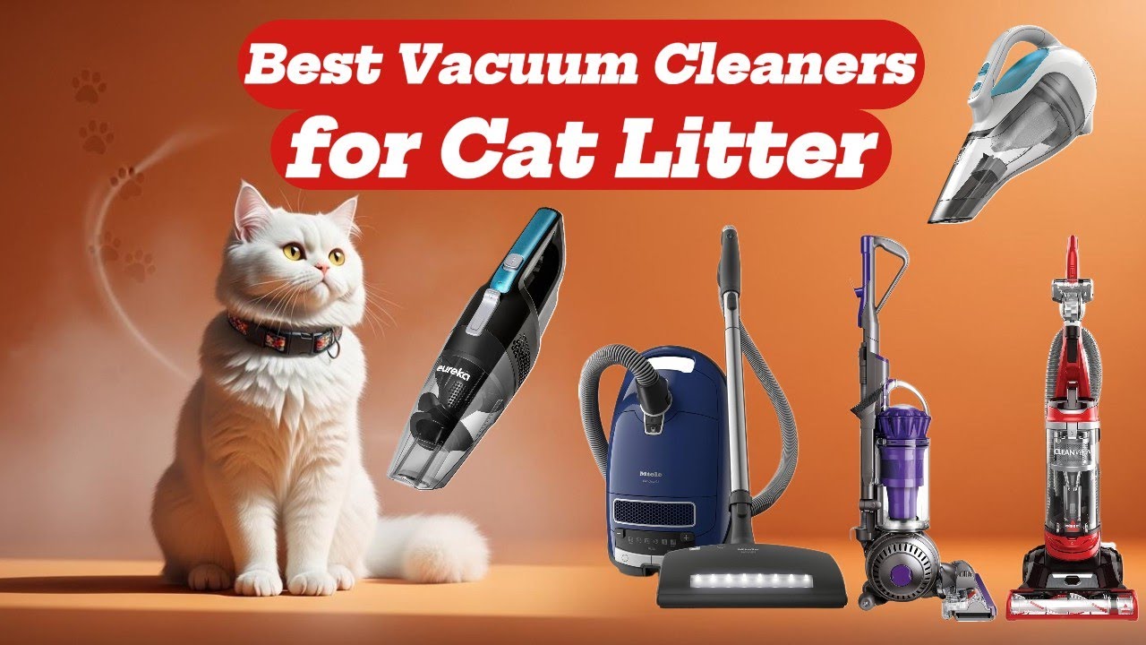 5 Best Vacuum Cleaners for Cat Litter in 2026