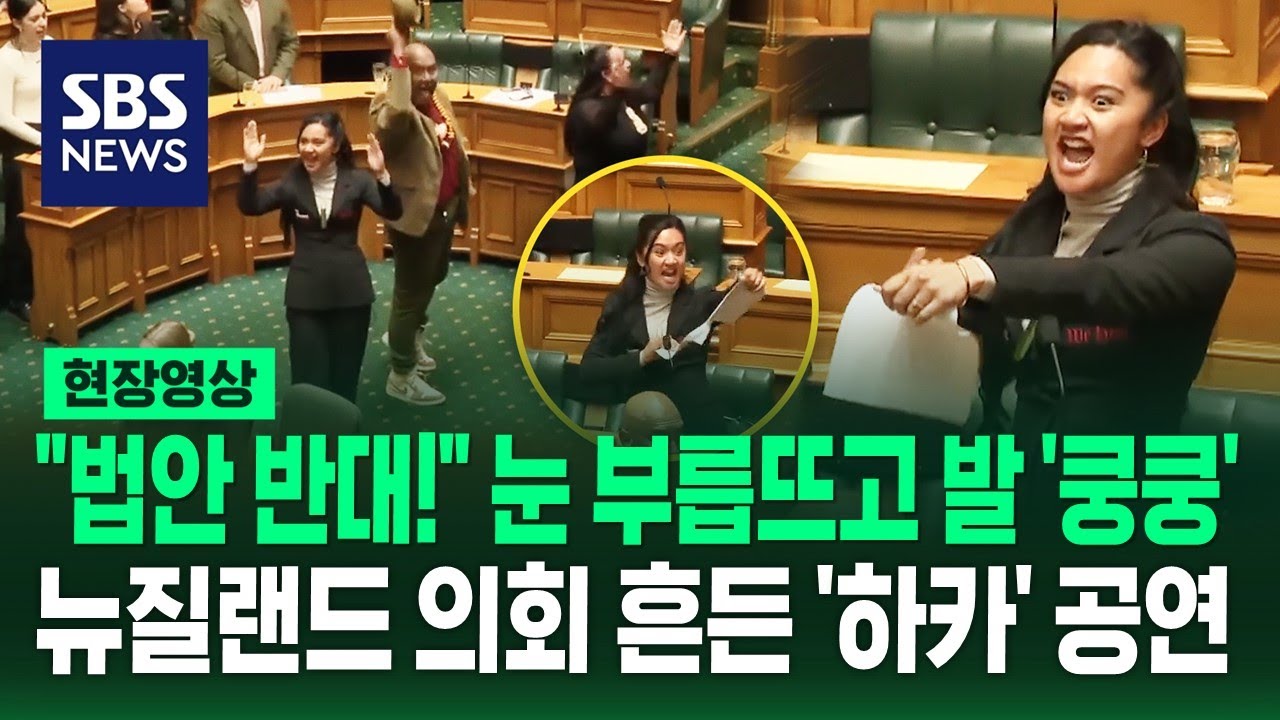 법안 찢고 두 눈 부릅뜨고…뉴질랜드 의회서 마오리족 전통춤 '하카' 춘 의원들, 무슨 일? (현장영상) / SBS