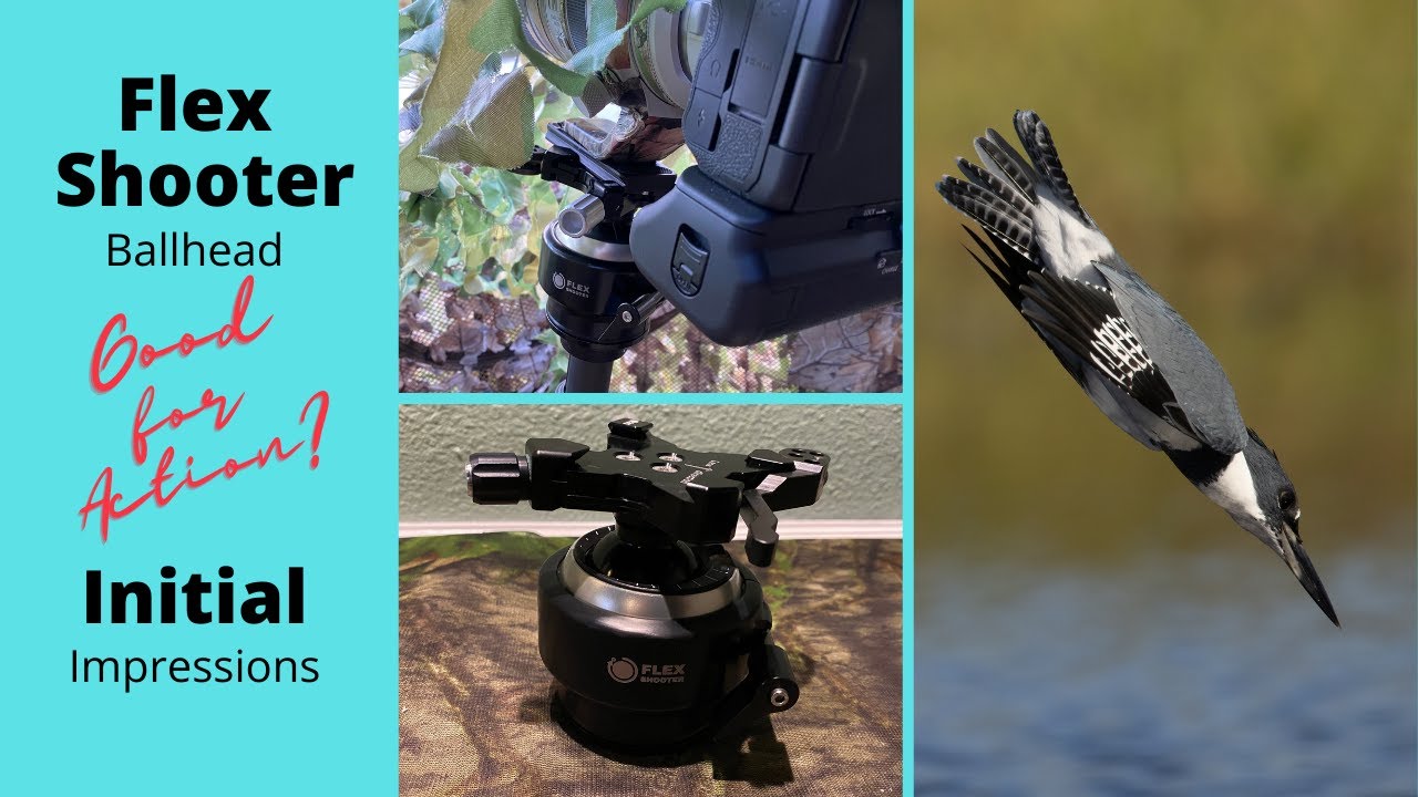 Flex Shooter Pro - Lever Ballhead Initial Impressions
