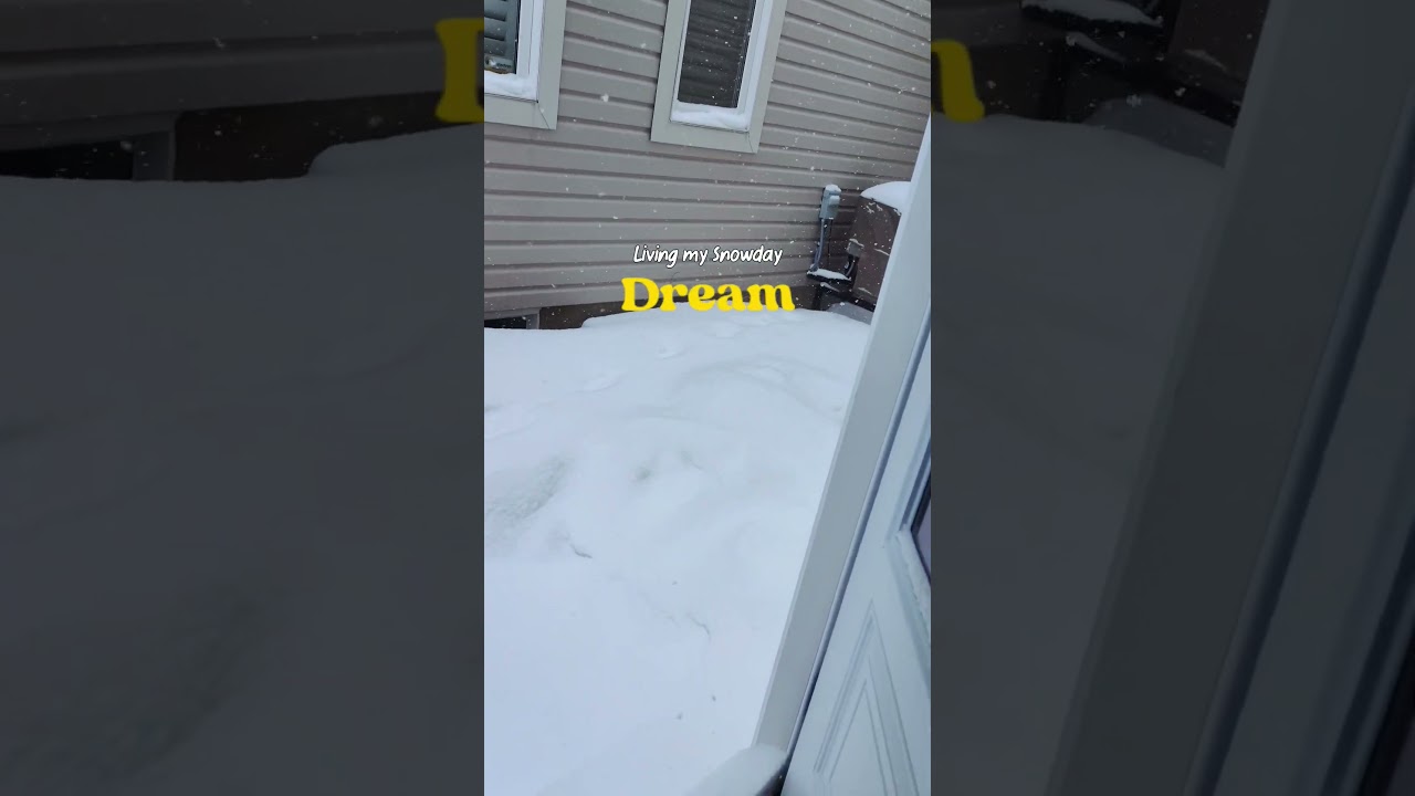Snow Falling in Slow Motion | Winter snow squall ❄️ 