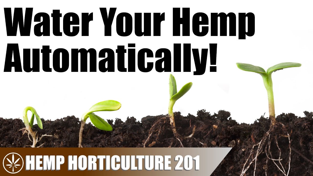 How a Sub-Irrigated Planter Work