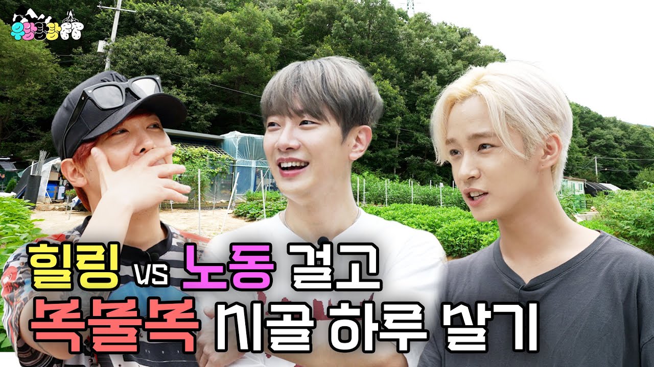 무더위 속 복불복으로 힐링과 노동이 나뉘는 시골 하루 살기 ㅋㅋㅋㅋ