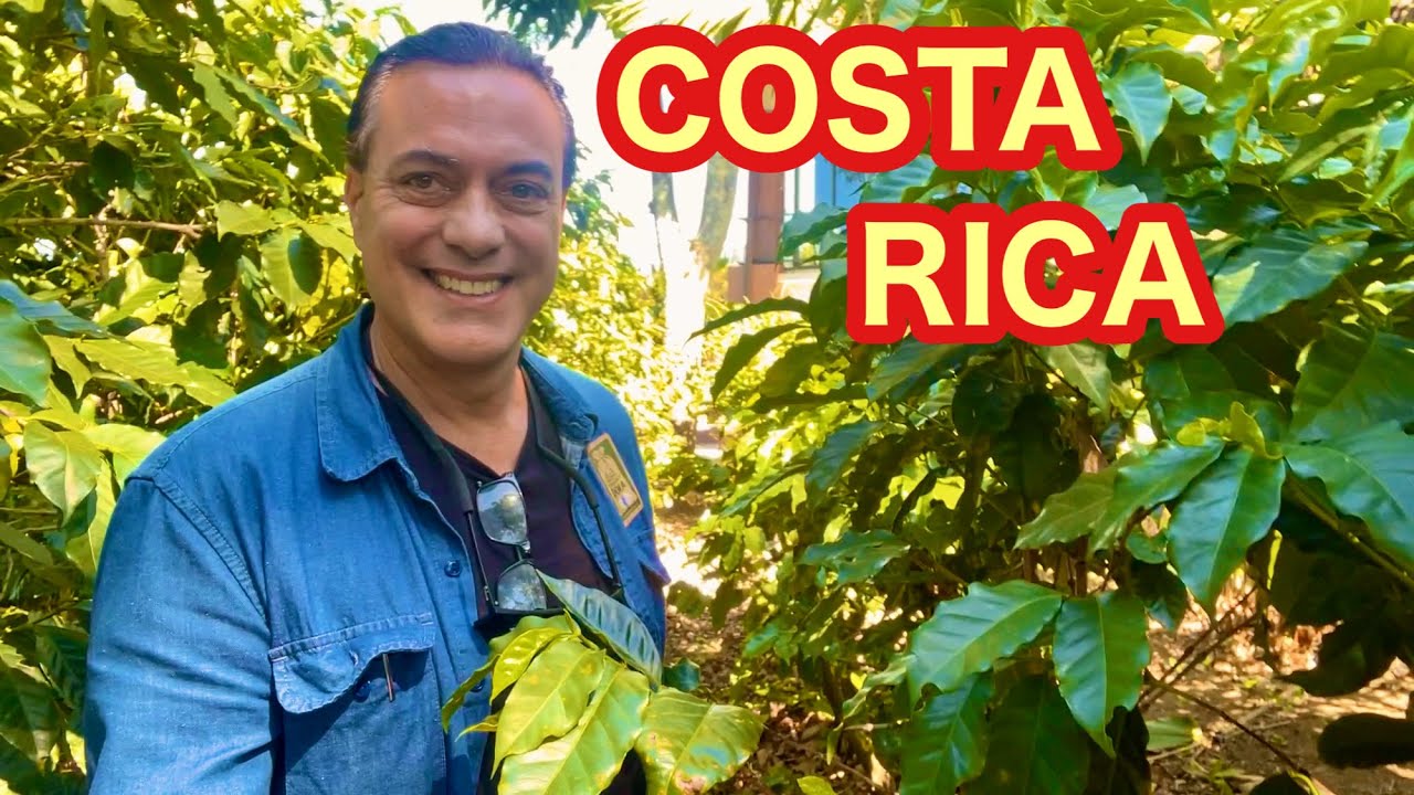 Travel Without Fear!  Costa Rica Travel, San Jose Hacienda Doka Coffee Farm, Expat Minimalist