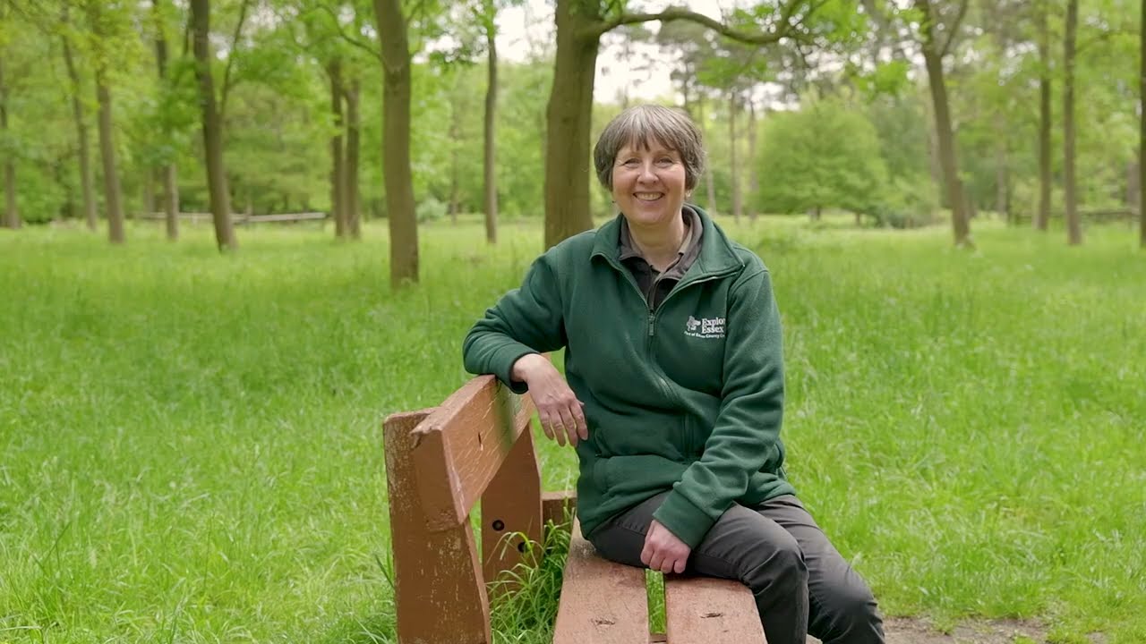 Landscape Restoration at Thorndon Country Park