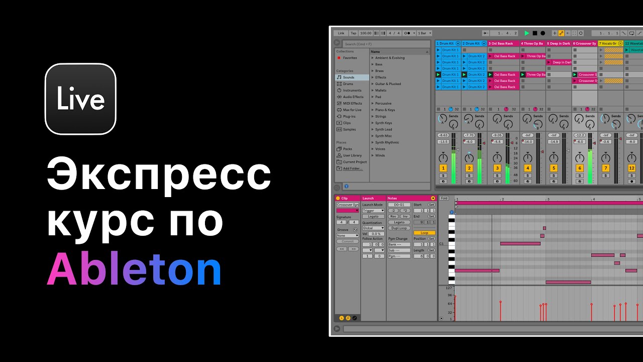 Экспресс курс Ableton Live 11. Работа с MIDI Tracks и MIDI Clip [Ableton Pro Help]