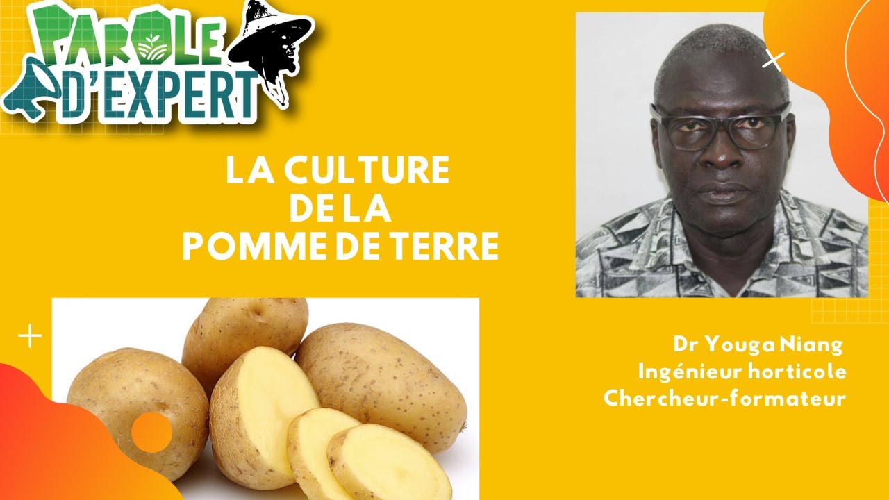 PAROLE D'EXPERT la culture de la pomme de terre