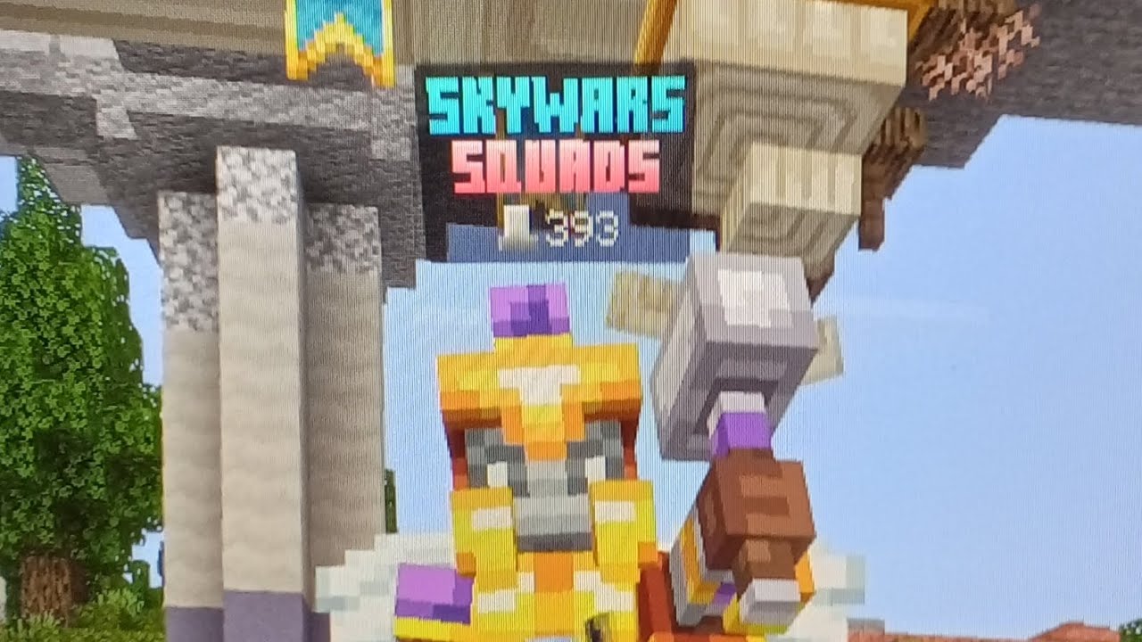 Hive skywars I win and I lose!