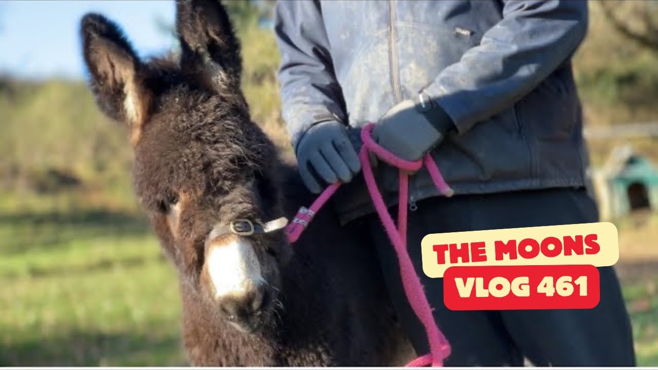 Born With Severely Deformed Legs… Three Months Later, see him now 