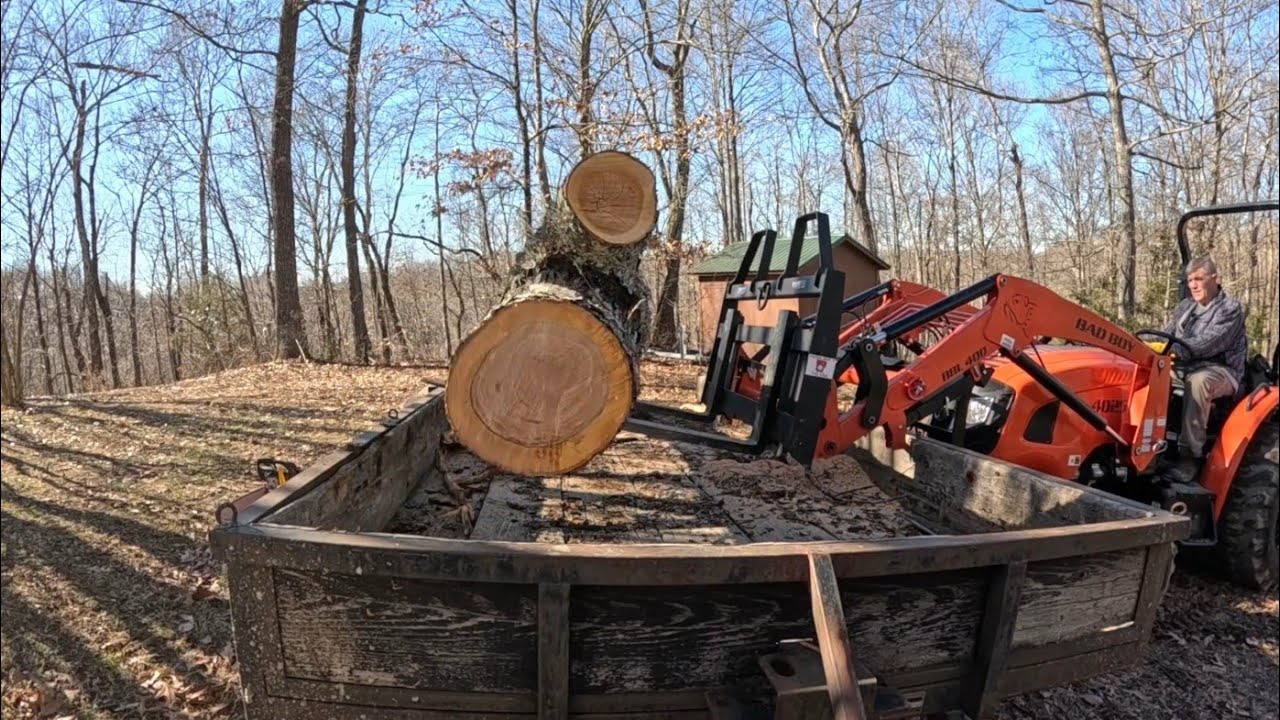 Bad boy Tractor & Big Logs! Day 2.