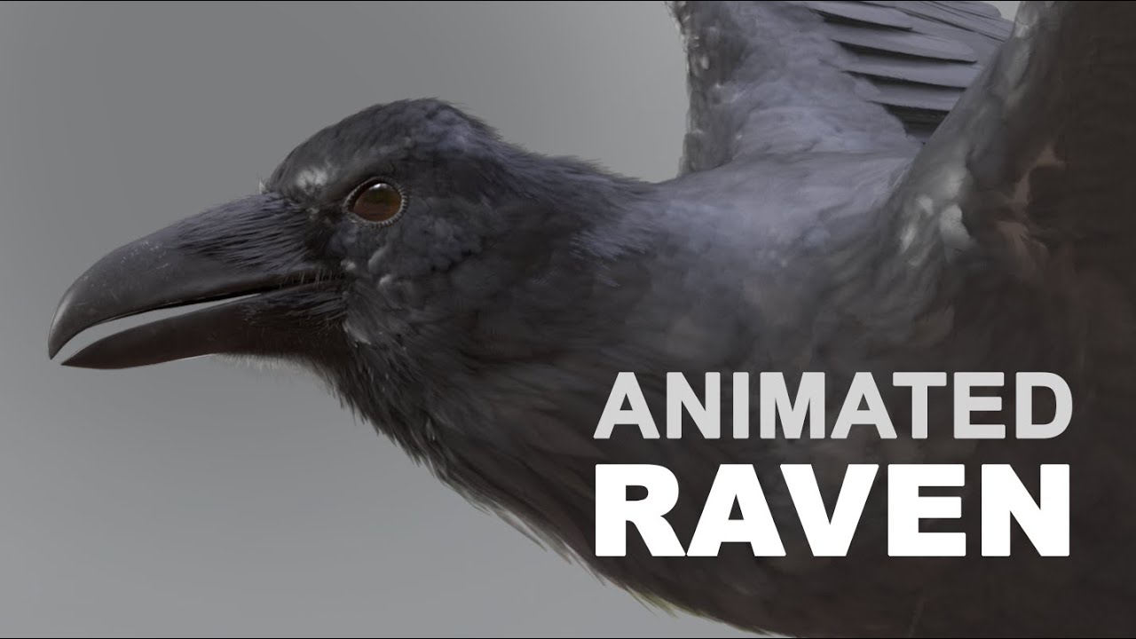 CG Raven Animation