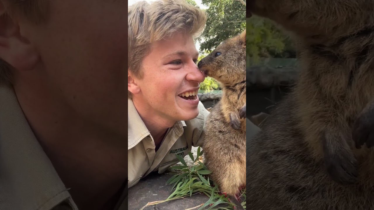 Meet the Happiest Animal on Earth 😊🐾