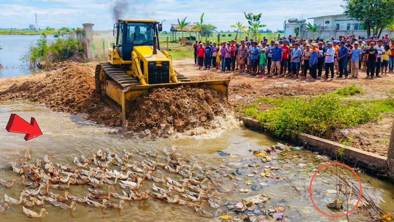 Complete100% Delete Water Hug Pond Construction Foundation House by Mini Dozer Pushing With Dump Tru