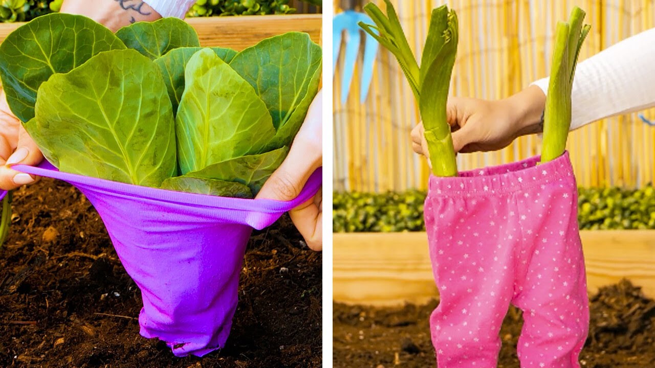 Nützliche Hacks zur Vereinfachung der Gartenarbeit