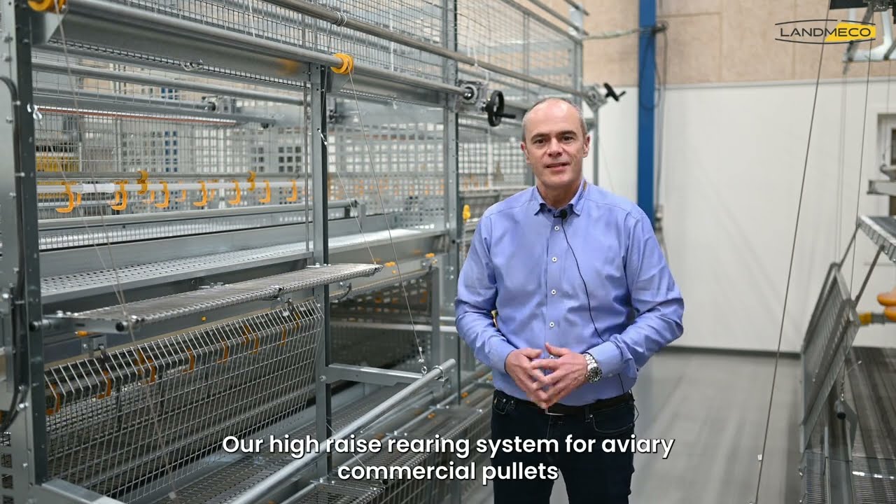 Best Pullet Rearing System for Poultry Farms | LANDMECO High Raise System for Optimal Growth 🐥
