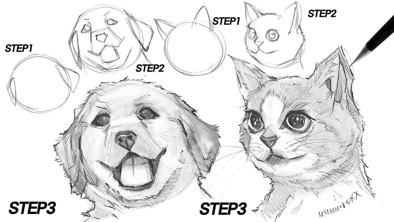 ✨ ANIMAL TUTORIAL ✨