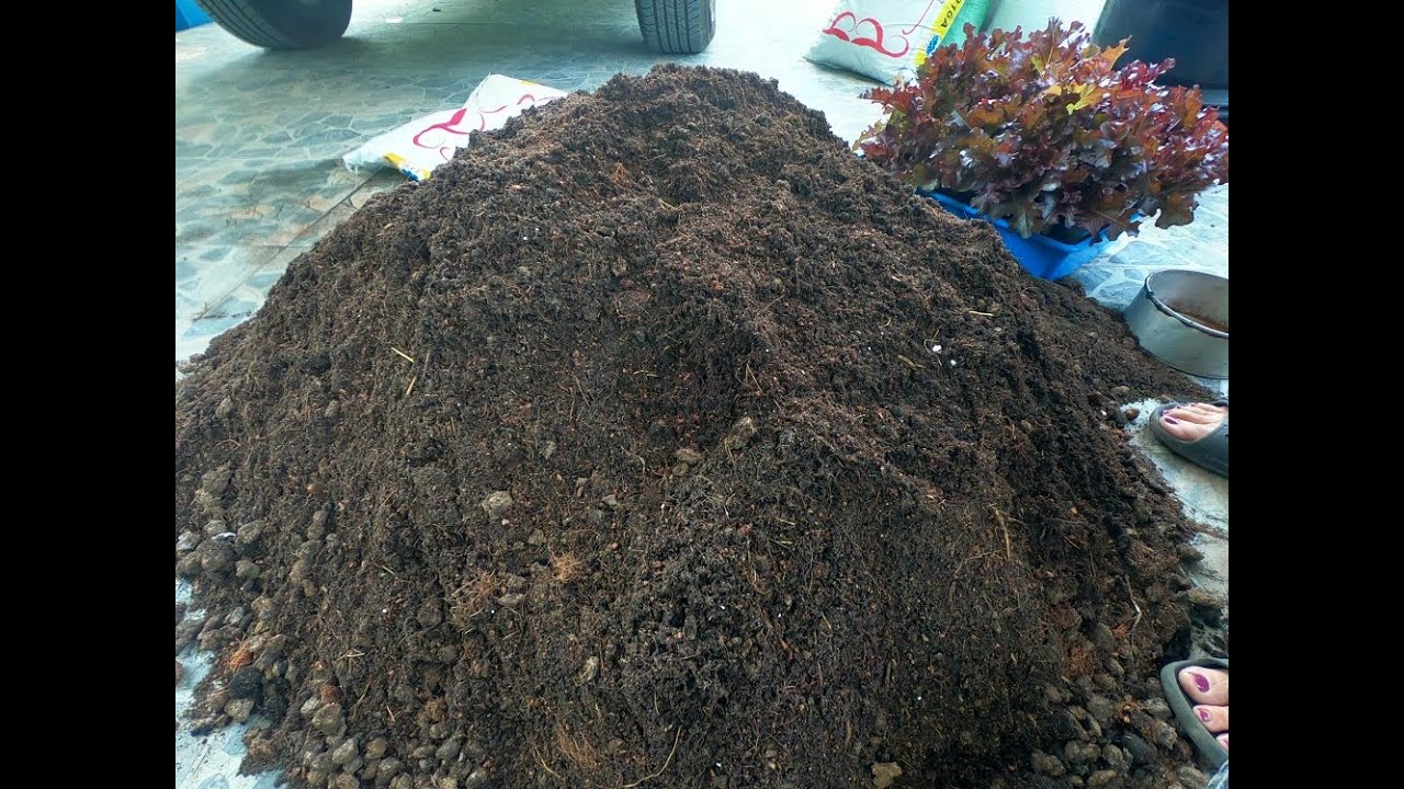 สูตรปรุงดินปลูกพืชผักง่ายๆ ปลูกได้ทุกอย่าง