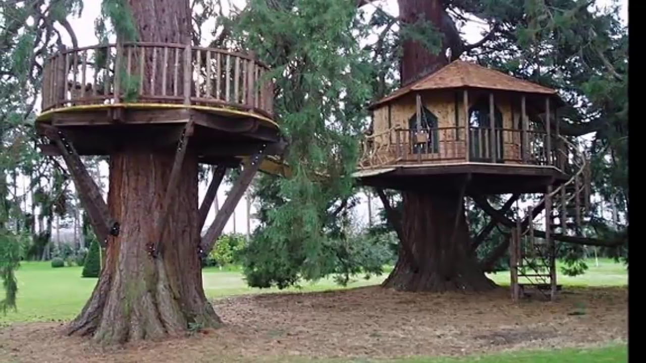 100 INCREIBLES Y HERMOSOS DISEÑOS DE CASAS EN EL ARBOL 2018