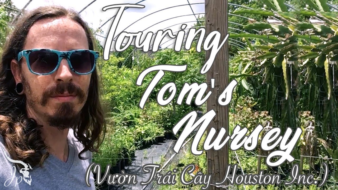 Touring Tom's Nursery (Vườn Trái Cây Houston Inc.)