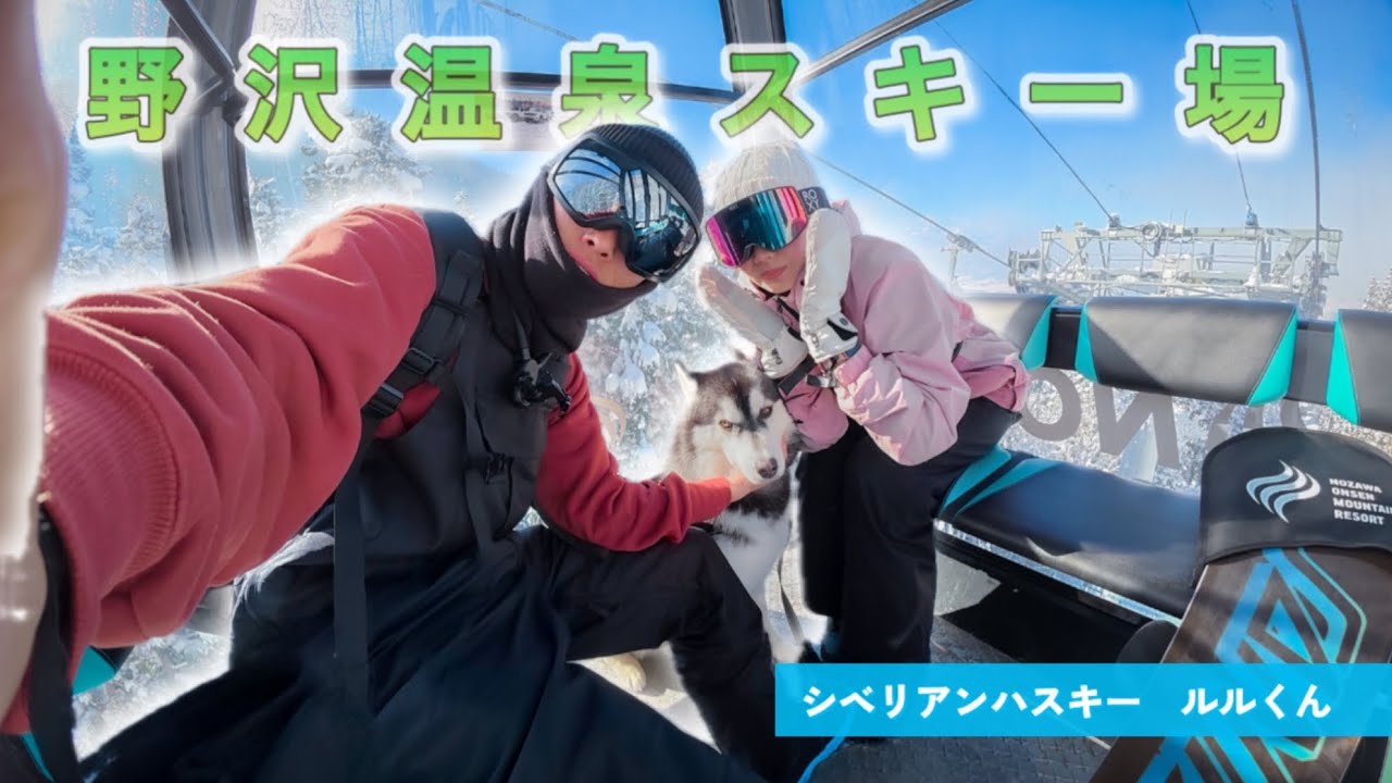 野沢温泉スキー場と犬『ハスキー犬と距離10kmのスキー場を滑ってみた 』スノボ旅