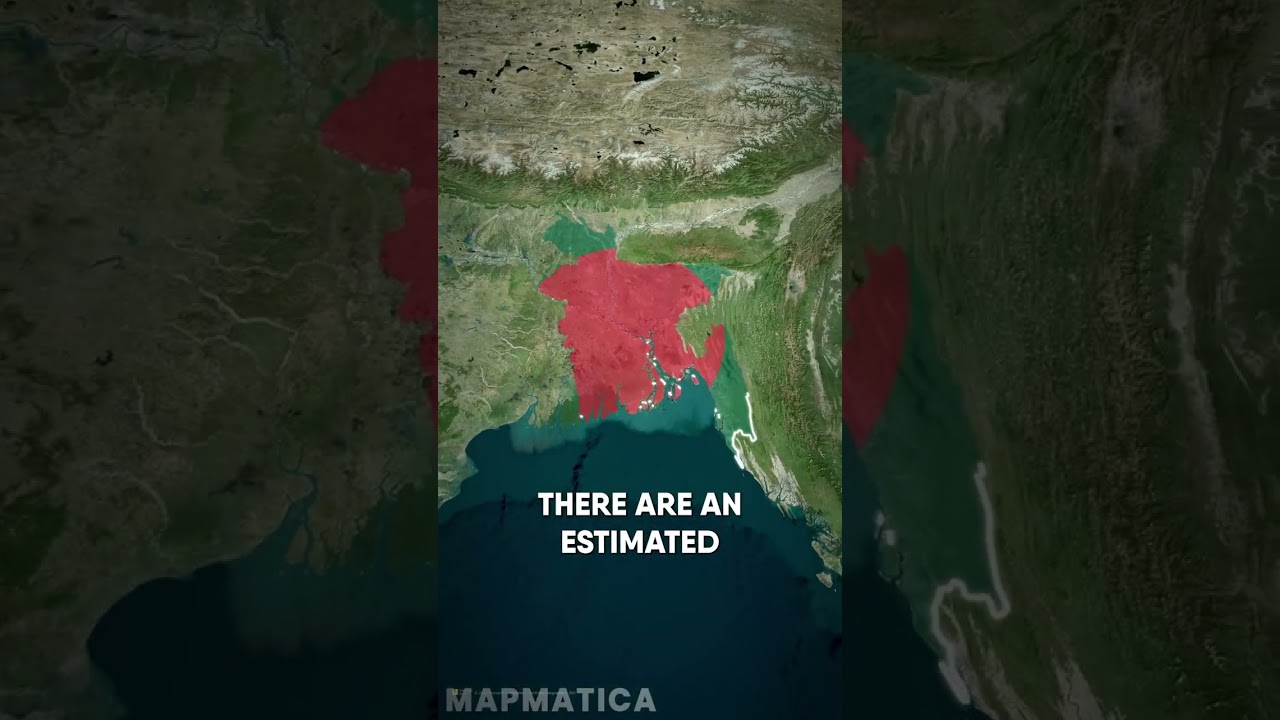 Did You Know These Facts About Bangladesh? 🇧🇩