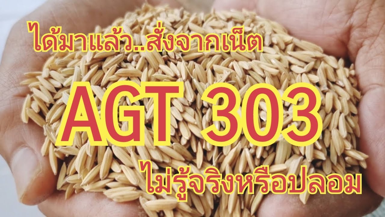 มาถึงแล้ว สั่งมาจากเน็ต .....AGT 303..... ไม่รู้ว่าจริงหรือปลอม