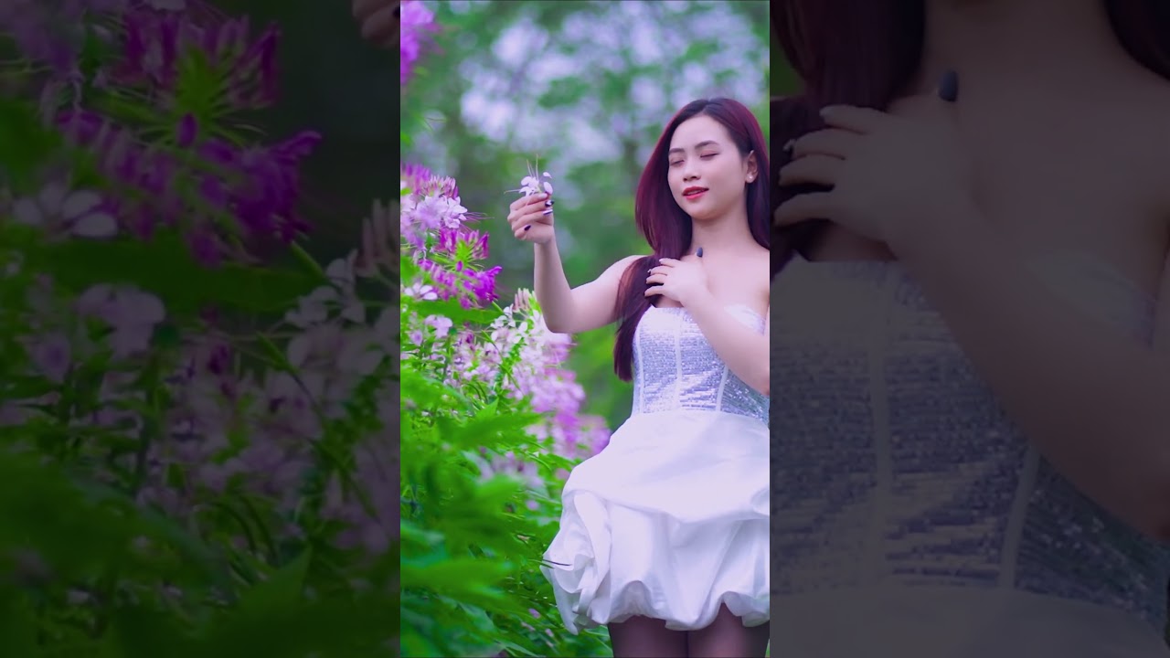 LK Nhạc Trữ T&igrave;nh Bolero Remix Tiktok 2024 - Nhạc Bolero Remix Hay Nhất #boleroremixtiktok