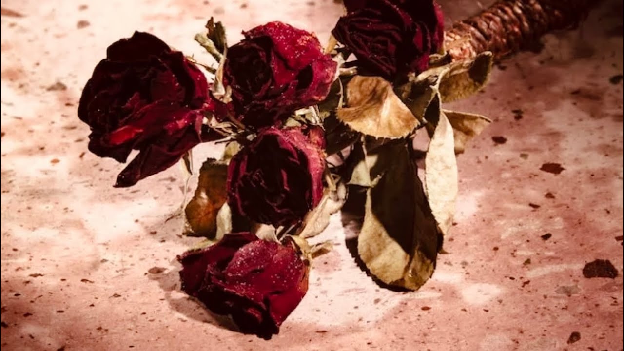 💔🥀Этой колдушке пришёл КОНЕЦ 🥀⛔️💯⚰️☝️