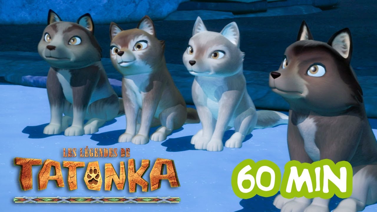 Tatonka Nouvelle Compilation 🐺 La Pomme de Pin | Dessins anim&eacute;s en fran&ccedil;ais