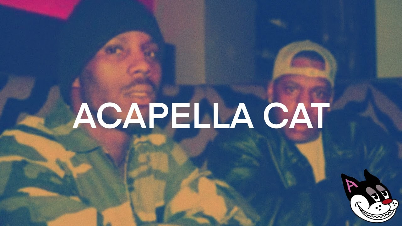 Jay Z feat. DMX - Money Cash Hoes Acapella 90 BPM - 4K Acapella Cat