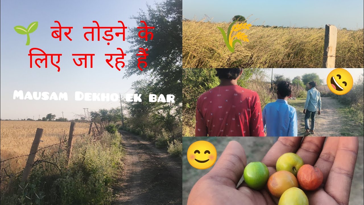 आज जा रहे हैं बेर खाने के लिए और  मौसम देखो कितना अच्छा  है#vlog 