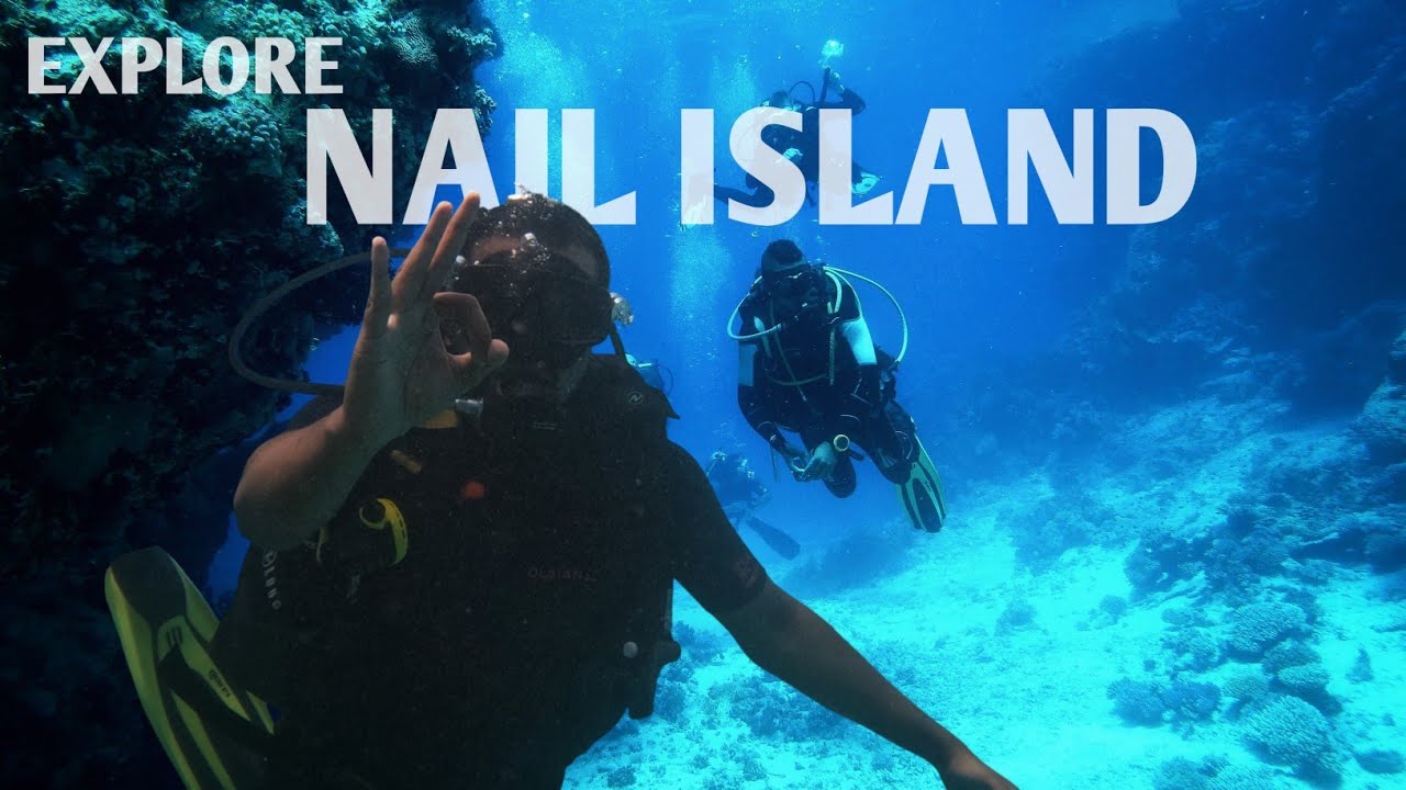 Explore Neil Island’s Bharatpur Beach | Scuba Diving | Underwater Experience In Neil Island