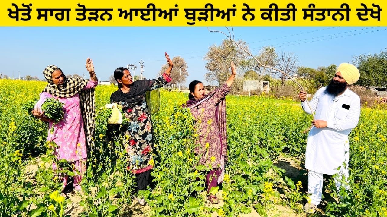 ਖੇਤੋਂ ਸਾਗ ਤੋੜਨ ਆਈਆਂ ਬੁੜੀਆਂ ਨੇ ਕੀਤੀ ਸੰਤਾਨੀ ਦੇਖੋ sag ayian ne kiti santani punjabi short video #kheton