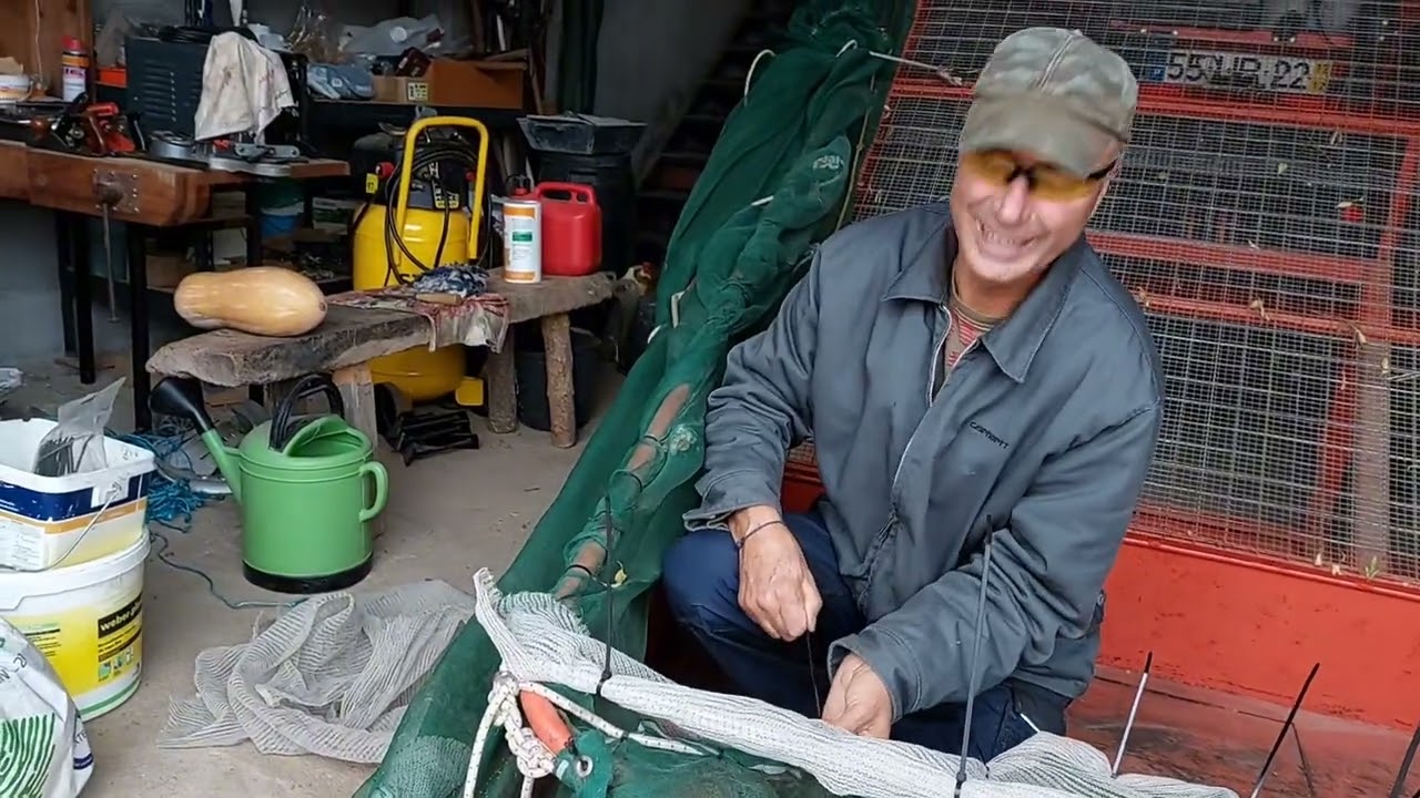 Preparar a máquina para apanhar azeitona