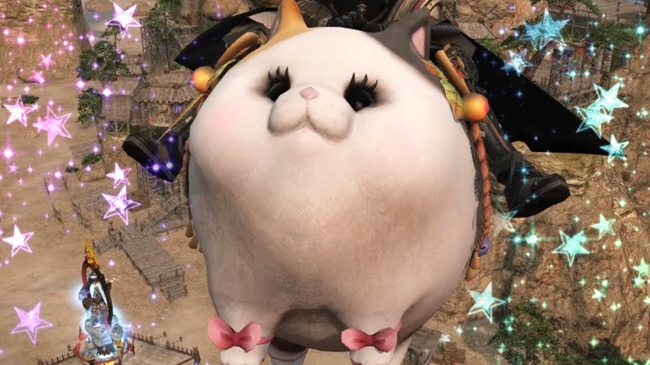 fat cat mount so cute (✿╹◡╹)