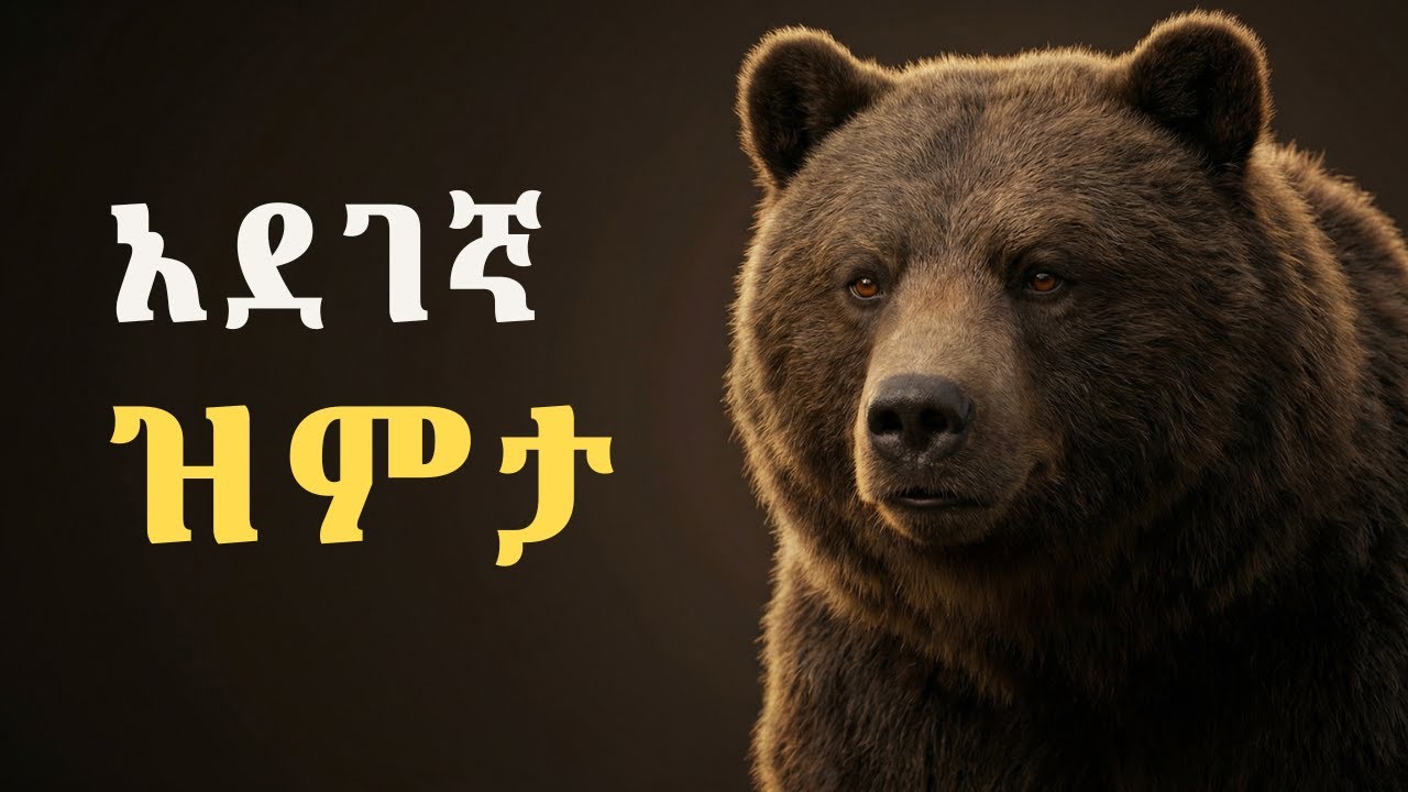 ዝምተኛ ግን አደገኛ ሁኑ ፡ የድብ ማንነት | The Bear Mindset  #thegreatpause