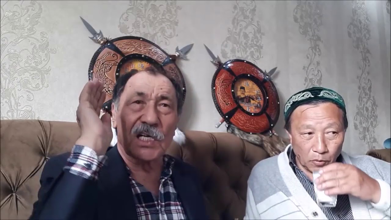 Бексұлтан Нұржекеұлы Қазыбек бек Тауасарұлының  'Түп тұқияннан өзіме шейін' кітабы туралы