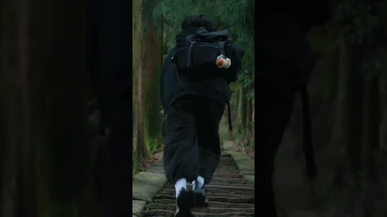 TikTok refusee