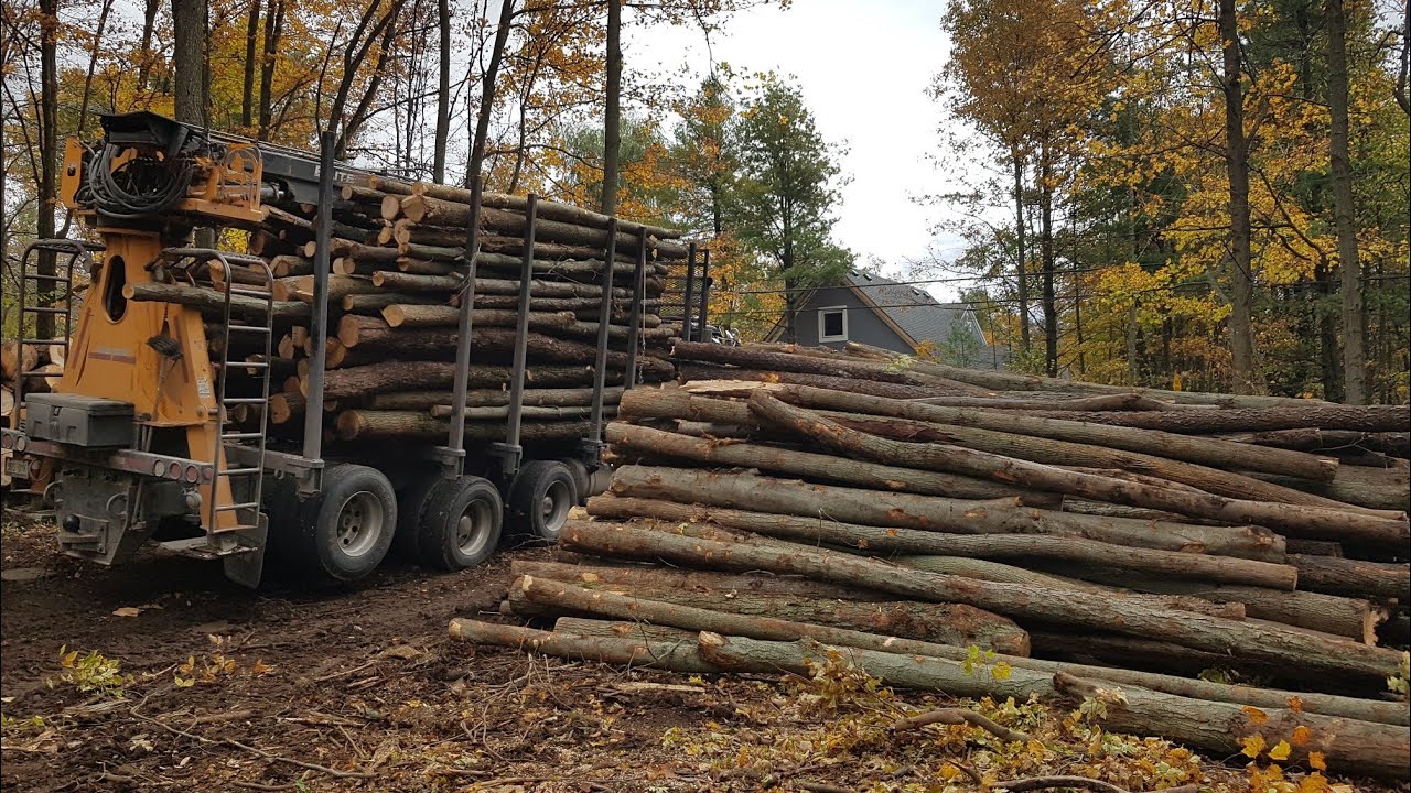 ROTOBEC Elite putting on a load of firewood
