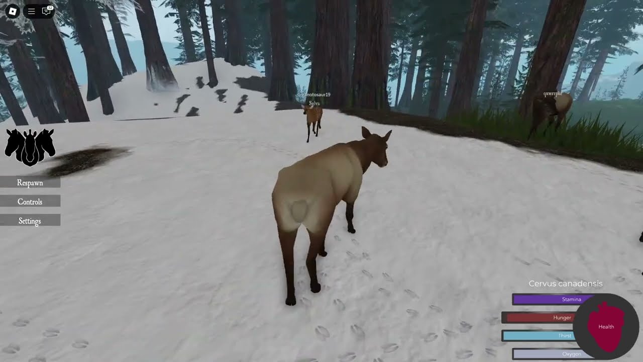 The Life of a Young Elk || Cenozoic Survival