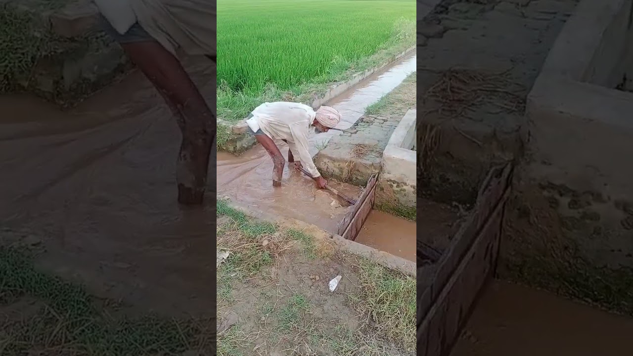 ਧੱਕਾ😔 #uncle #punjabi #farmerlife #water #foryou #fight #irrigation #pani #india #punjab #punjabi