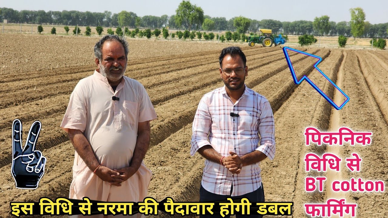 बेड पर नरमा बिजाई👍PQNK विधि से बीटी कॉटन की खेती || पानी को बचत 70% और पैदावार डबल BT cotton variety