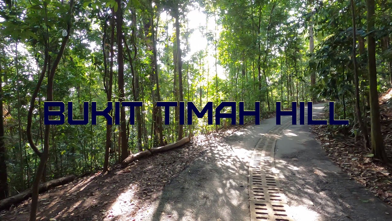 Virtual Hike [4K] - Bukit Timah Hill climb/descent