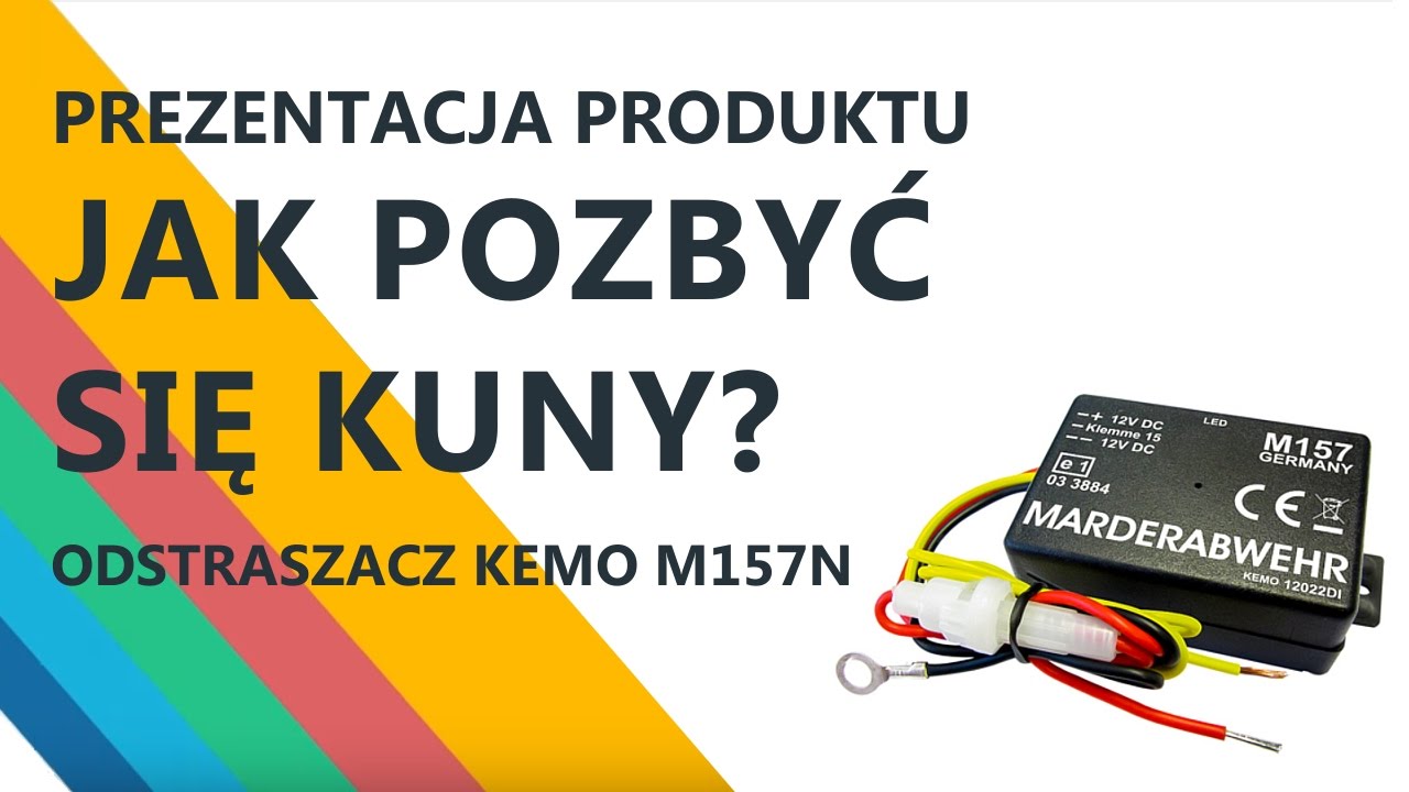 Jak pozbyć się kuny? Skuteczny spos&oacute;b na kunę. Odstraszacz kun KEMO M157N
