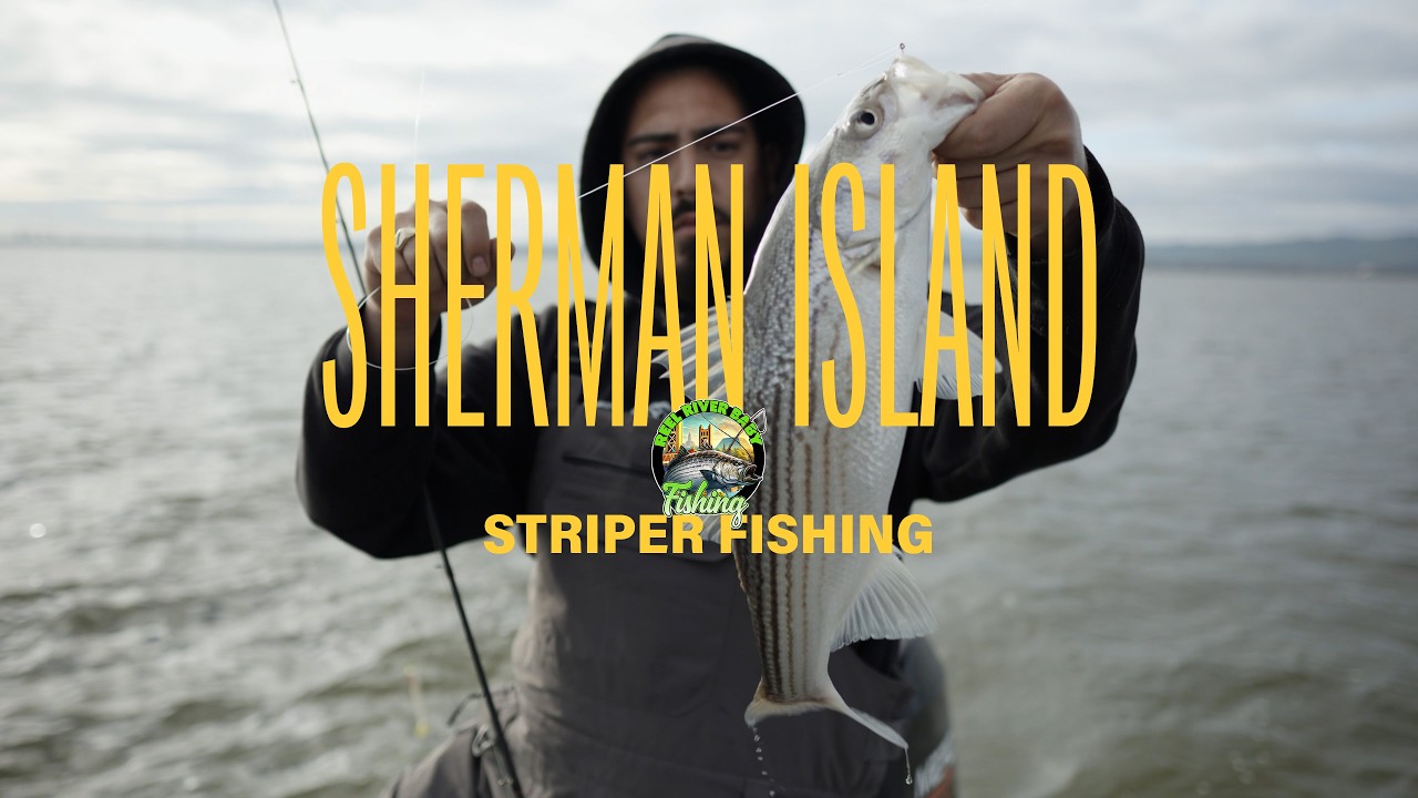 STRIPER FISHING SHERMAN ISLAND  WITH LIVE BAIT & LURES!!!!