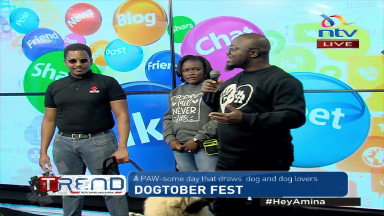A well-trained German Shepherd, Tinga, displays its tricks ahead of Dogtober fest | #TheTrend
