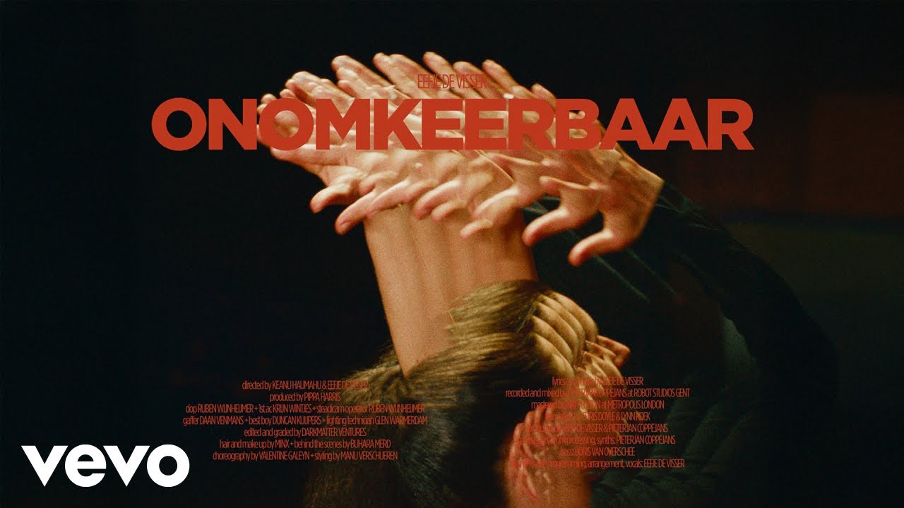 Eefje de Visser - Onomkeerbaar