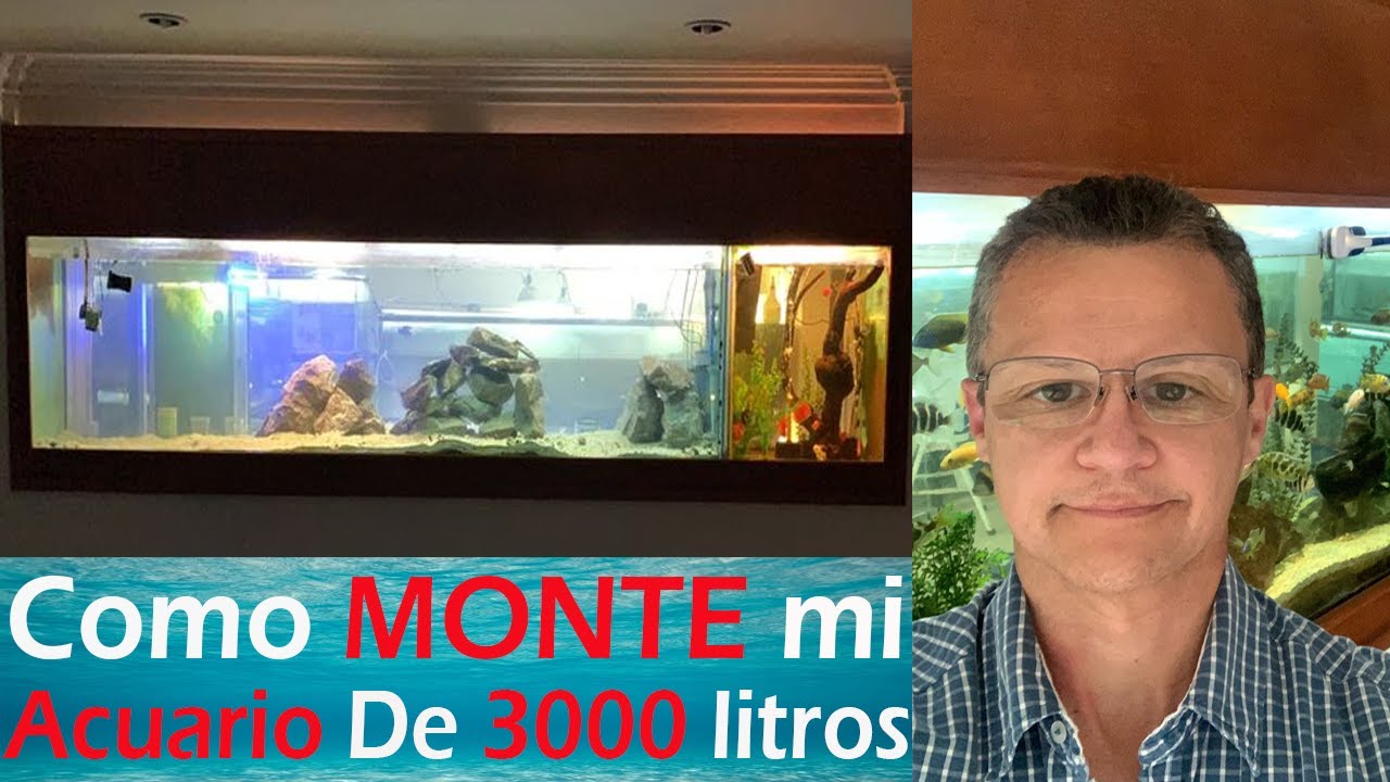 como monte mi acuario de 3000 litros sin ciclar / y poner peces a las 30 horas